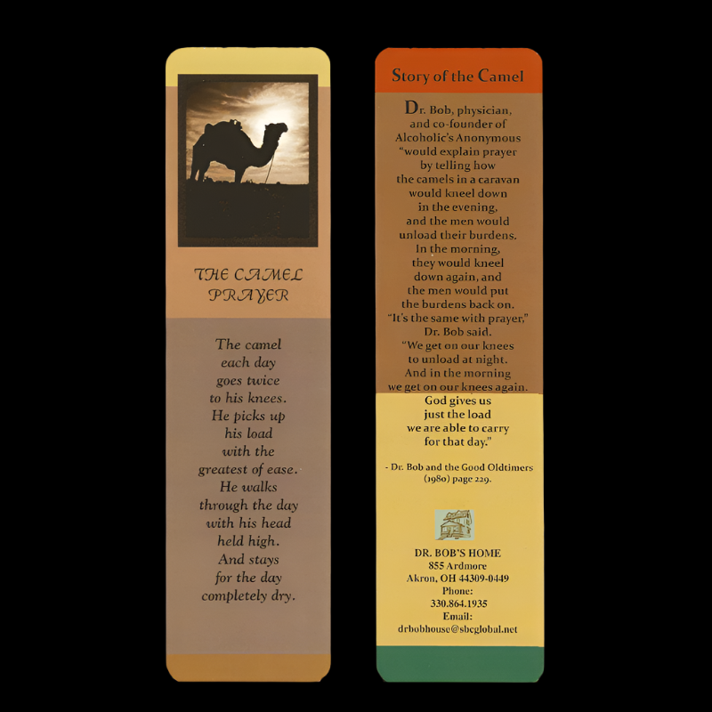 Camel Story  Bookmark